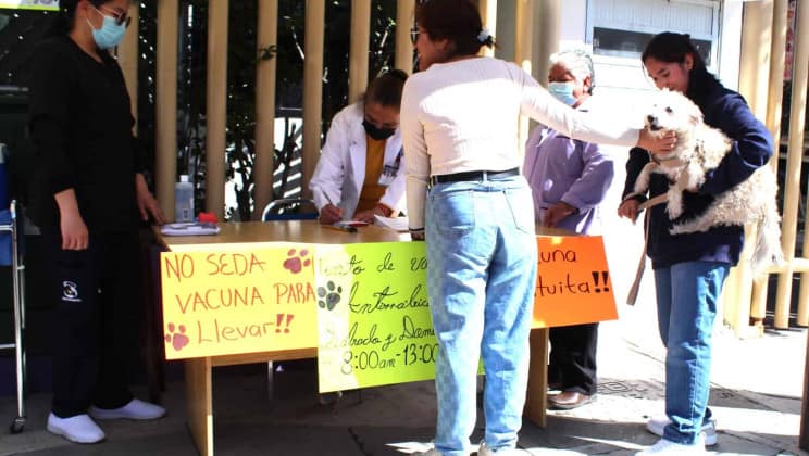 INICIA SECTOR SALUD CAMPAÑA DE VACUNACIÓN ANTIRRÁBICA CANINA Y FELINA