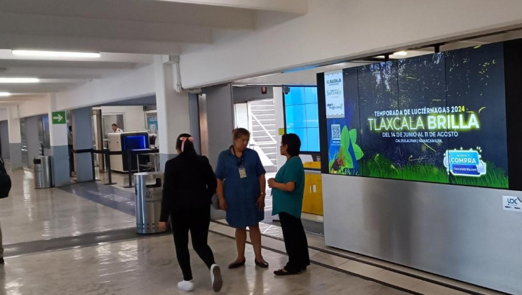 LLEGA TEMPORADA DE LUCIÉRNAGAS 2024 A LAS PANTALLAS DIGITALES DEL AEROPUERTO INTERNACIONAL DE LA CIUDAD DE MÉXICO